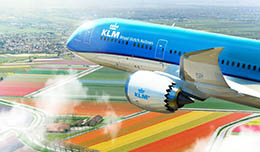 KLM сокращает частоту полетов в Киев