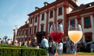 Фестивали Винобрани в Праге