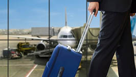 Тарифи без багажу на внутрішніх рейсах МАУ